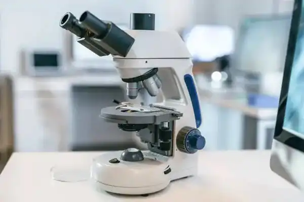 Chemical composition analysis Chemical composition analysis